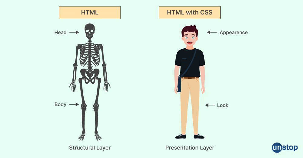 64dcc7c33b5ae_html_vs_css_01.jpg