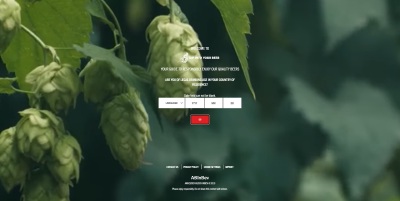 Image of 'Tap Into Your Beer' home page, developed in GOLANG CMS, the GO programming language CMS, HUGO.